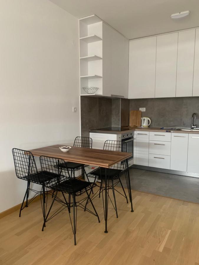 Apartment 45M2 بودغوريتْسا المظهر الخارجي الصورة